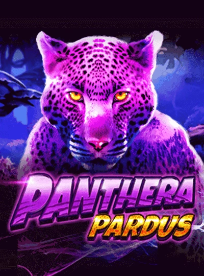 mm9999 new game